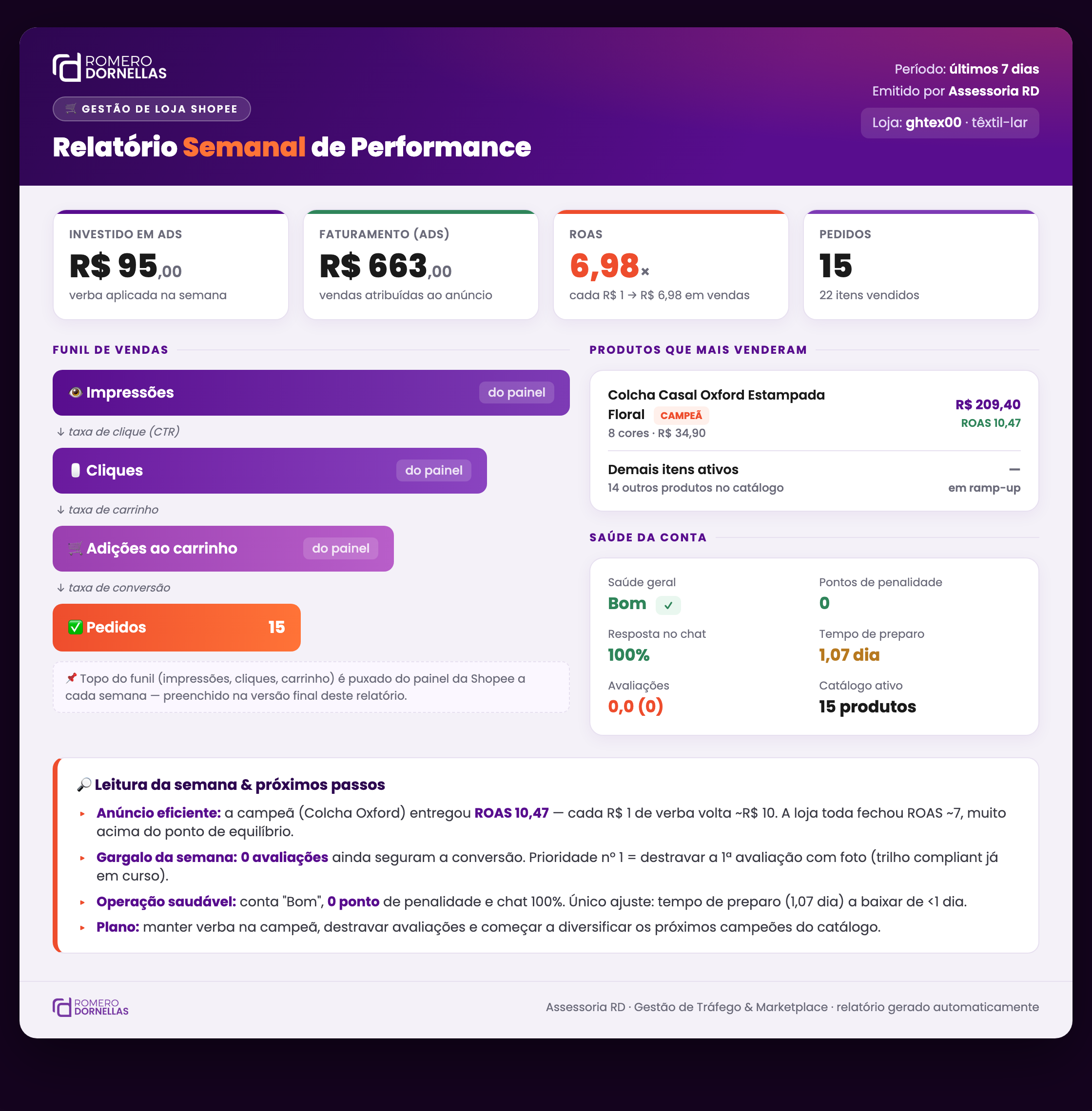 Exemplo do relatório semanal